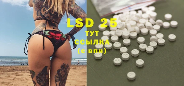 индика Гусь-Хрустальный