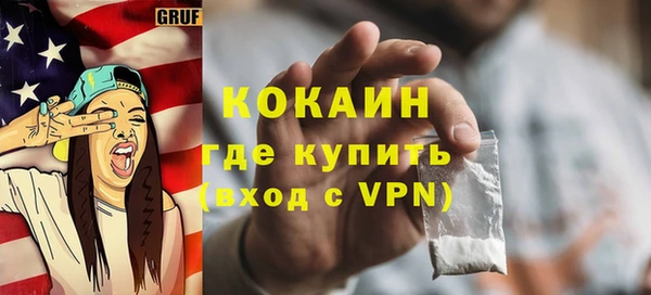 ГАЛЛЮЦИНОГЕННЫЕ ГРИБЫ Горняк