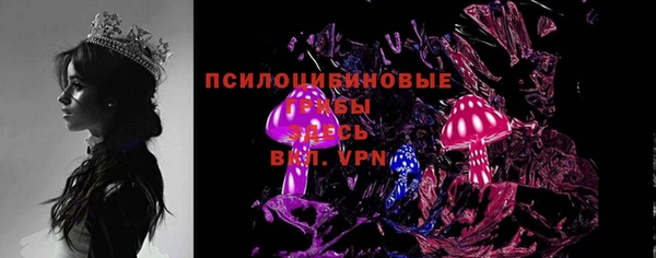 индика Гусь-Хрустальный