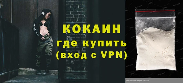 ГАЛЛЮЦИНОГЕННЫЕ ГРИБЫ Горняк