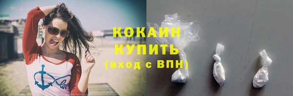 ГАЛЛЮЦИНОГЕННЫЕ ГРИБЫ Горняк