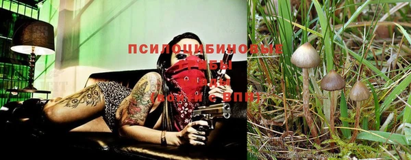 MDMA Гусев