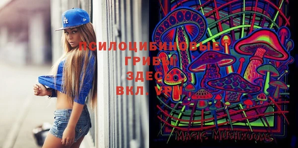 гидропоника Горнозаводск