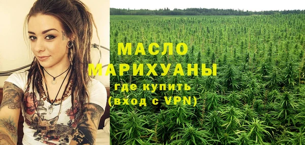 гидропоника Горнозаводск