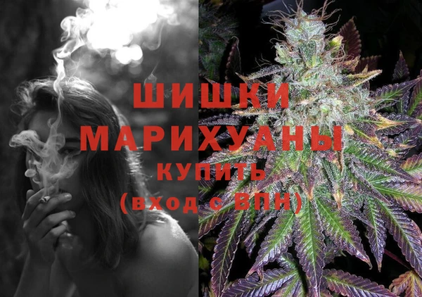 ГАЛЛЮЦИНОГЕННЫЕ ГРИБЫ Горняк