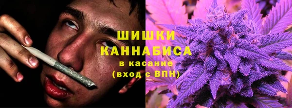 гидропоника Горнозаводск