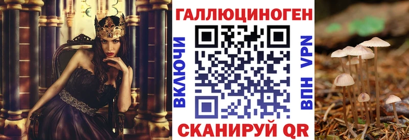 Псилоцибиновые грибы GOLDEN TEACHER  Купить закладки  Протвино 